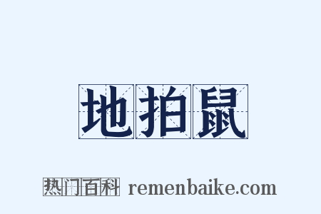 地拍鼠是什么意思的图片